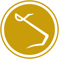 Halperns' logo icon.
