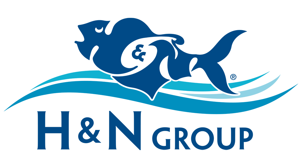 H&N Group Logo